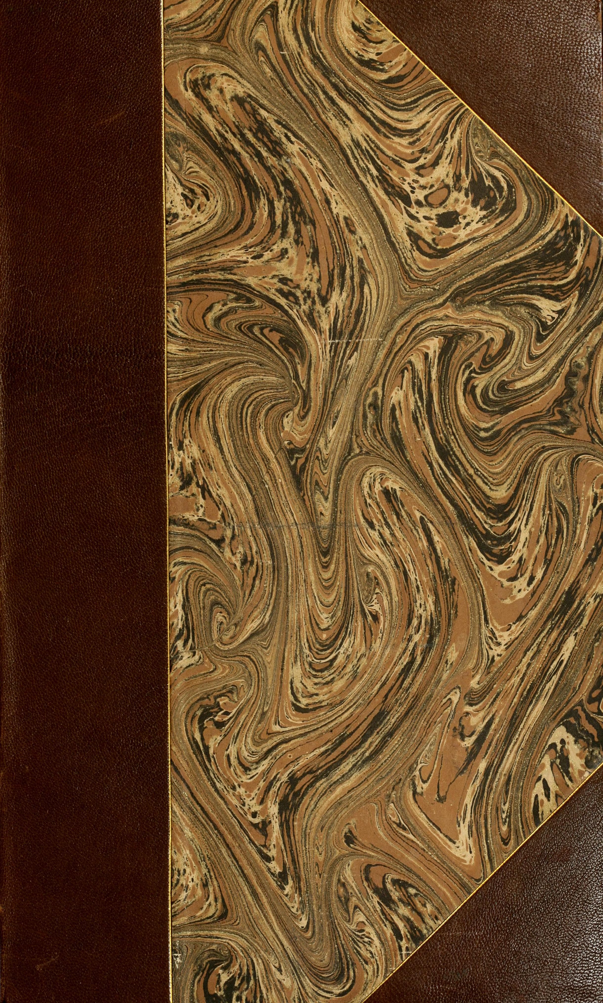 Appendix Necessaria Syntagmatis Arcanorum Chymicorum