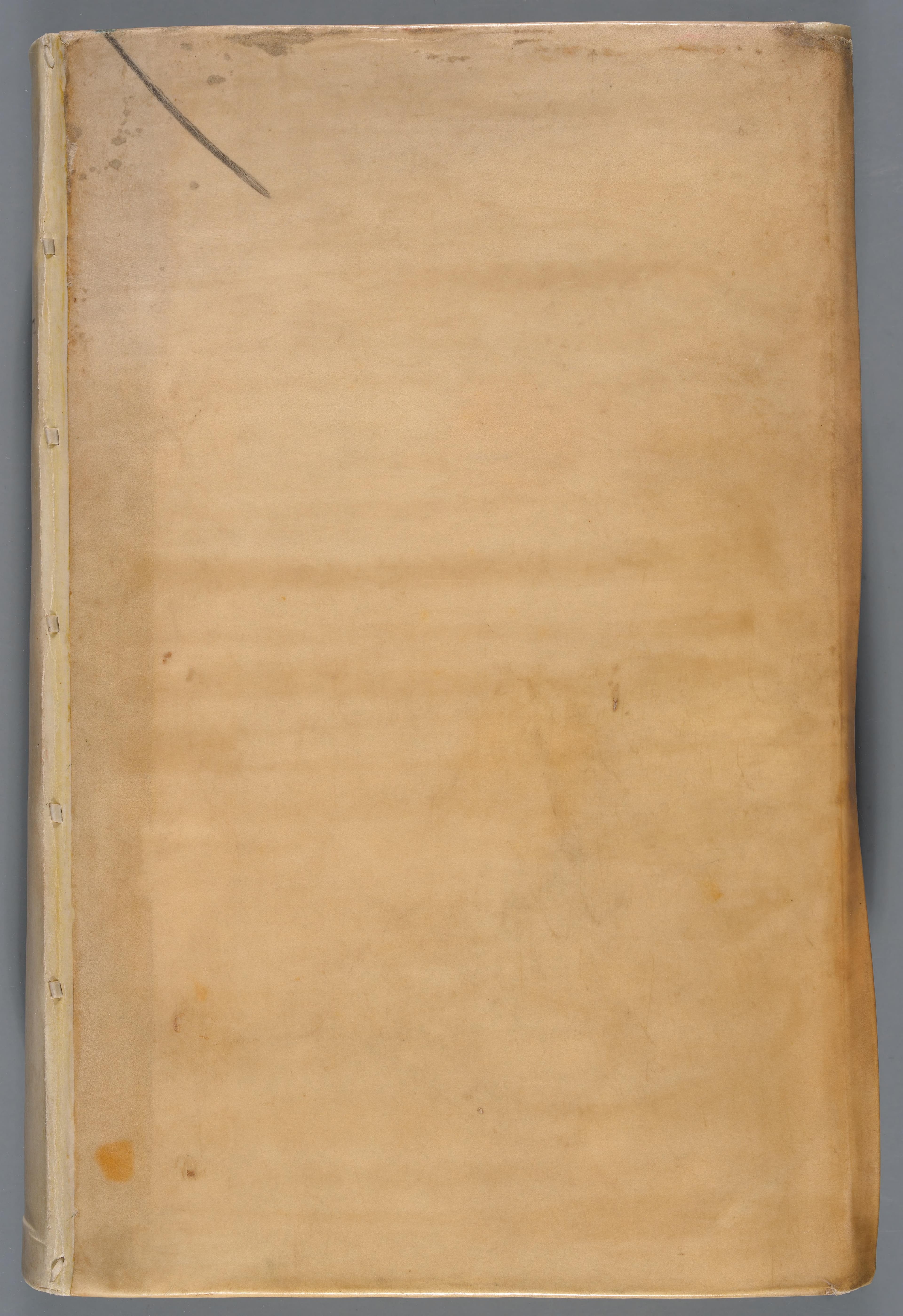 Rariorum Plantarum Historia (with Fungorum Historia)