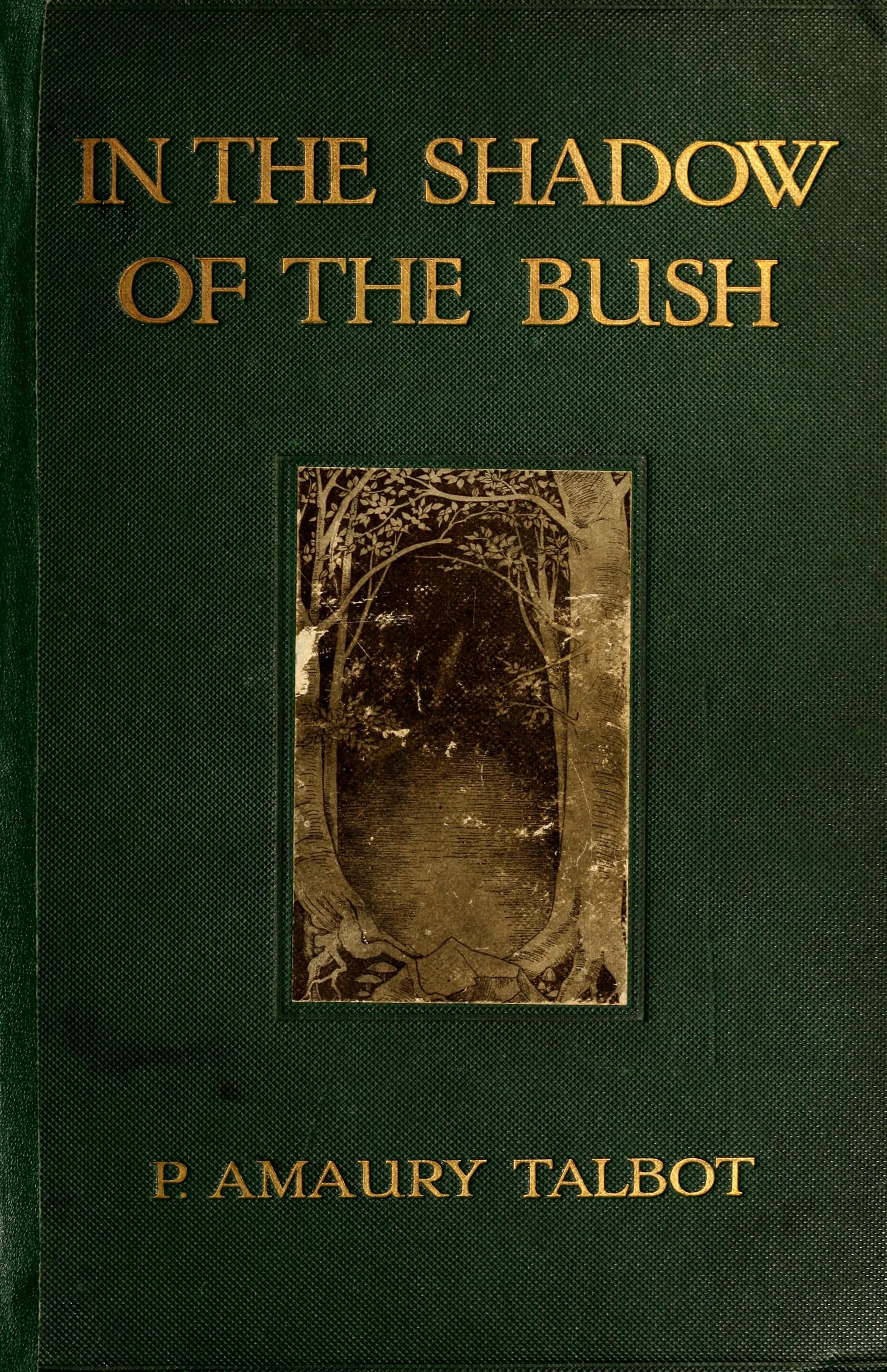 In the Shadow of the Bush