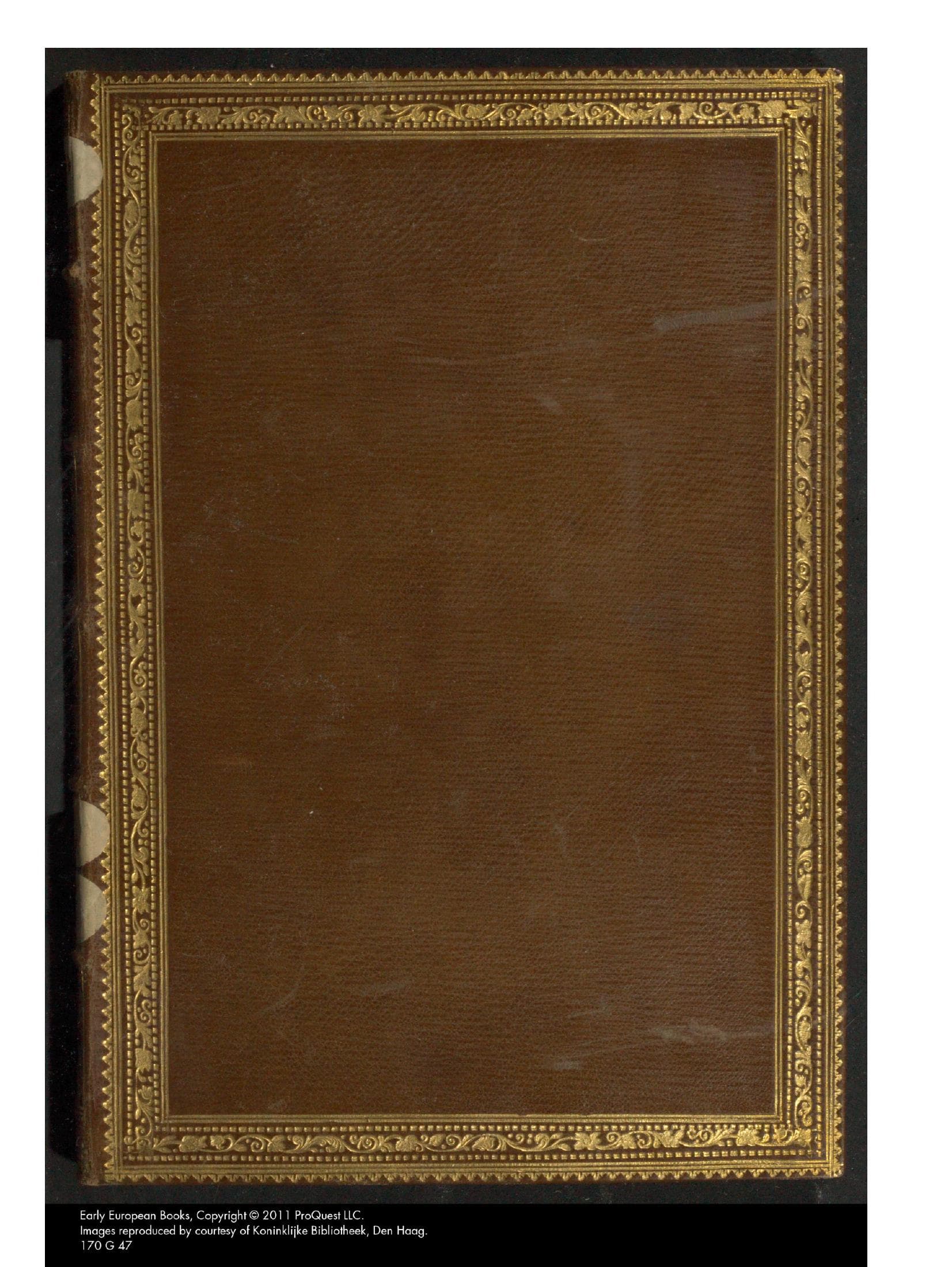 De elegantiis terminorum