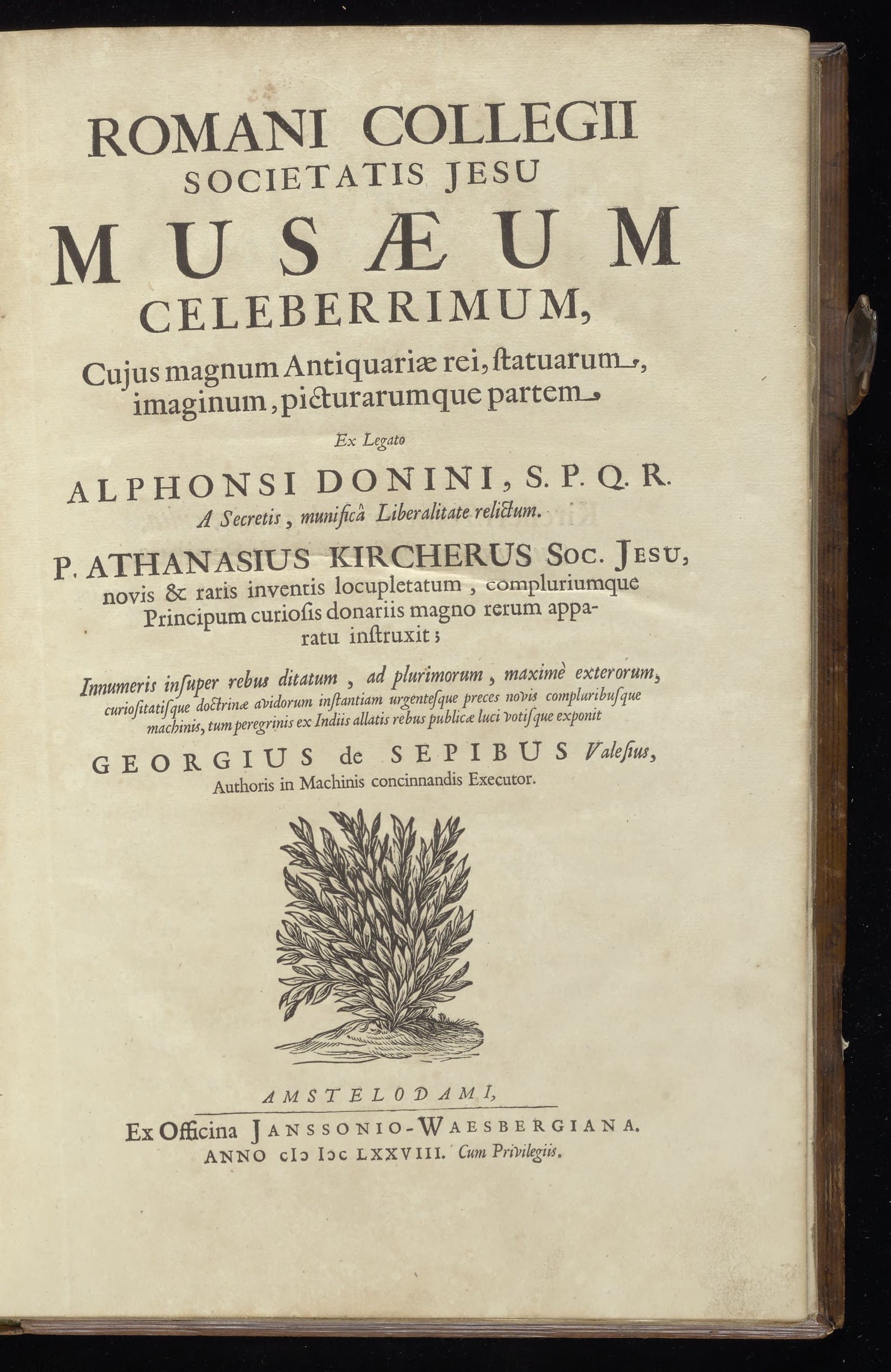 Musaeum Celeberrimum (Romani Collegii)