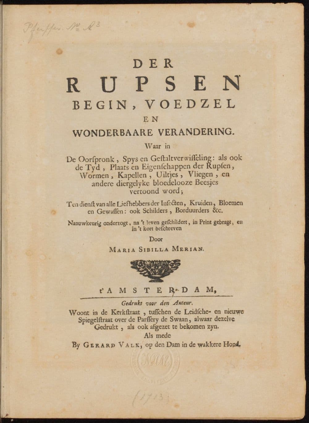 Der rupsen begin, voedzel en wonderbaare verandering