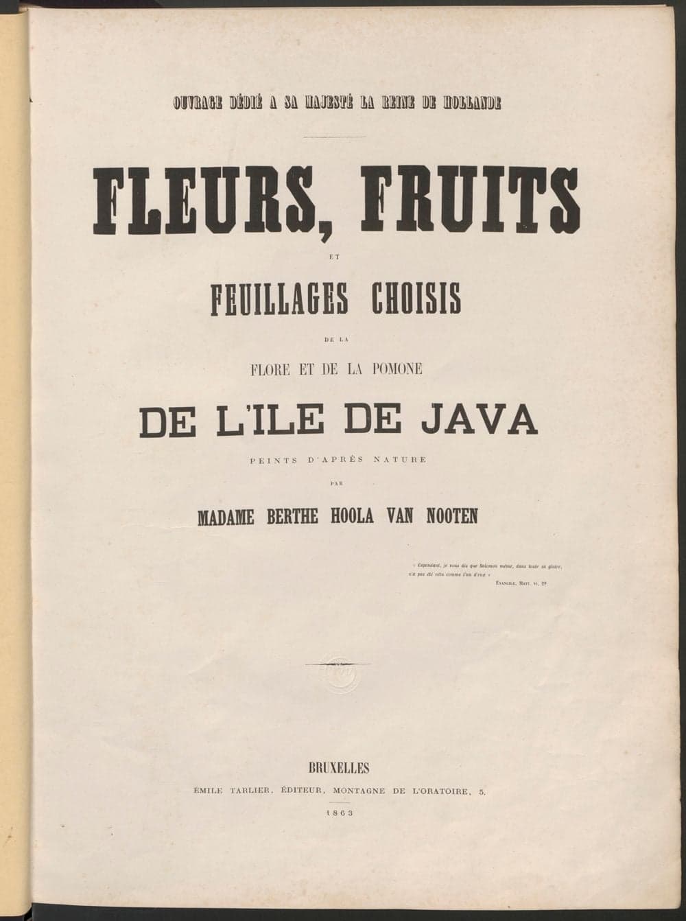 Fleurs, fruits et feuillages choisis de la flore et de la pomone de Java