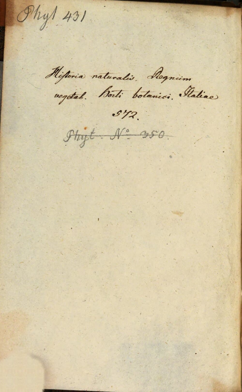 Viridarium Florentinum