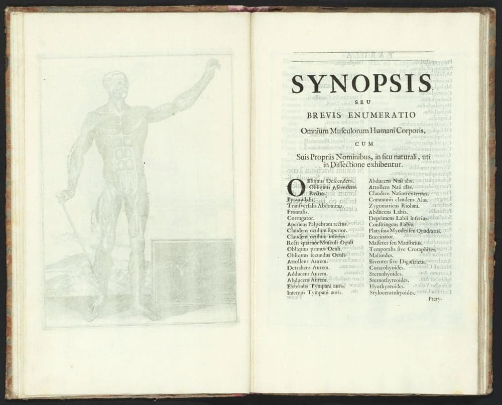 Myographia nova sive Muscolorum omnium (in copore humano hactenus repertorum) accuratissima descripto, in sex praelectiones distributa ... /, John Browne.