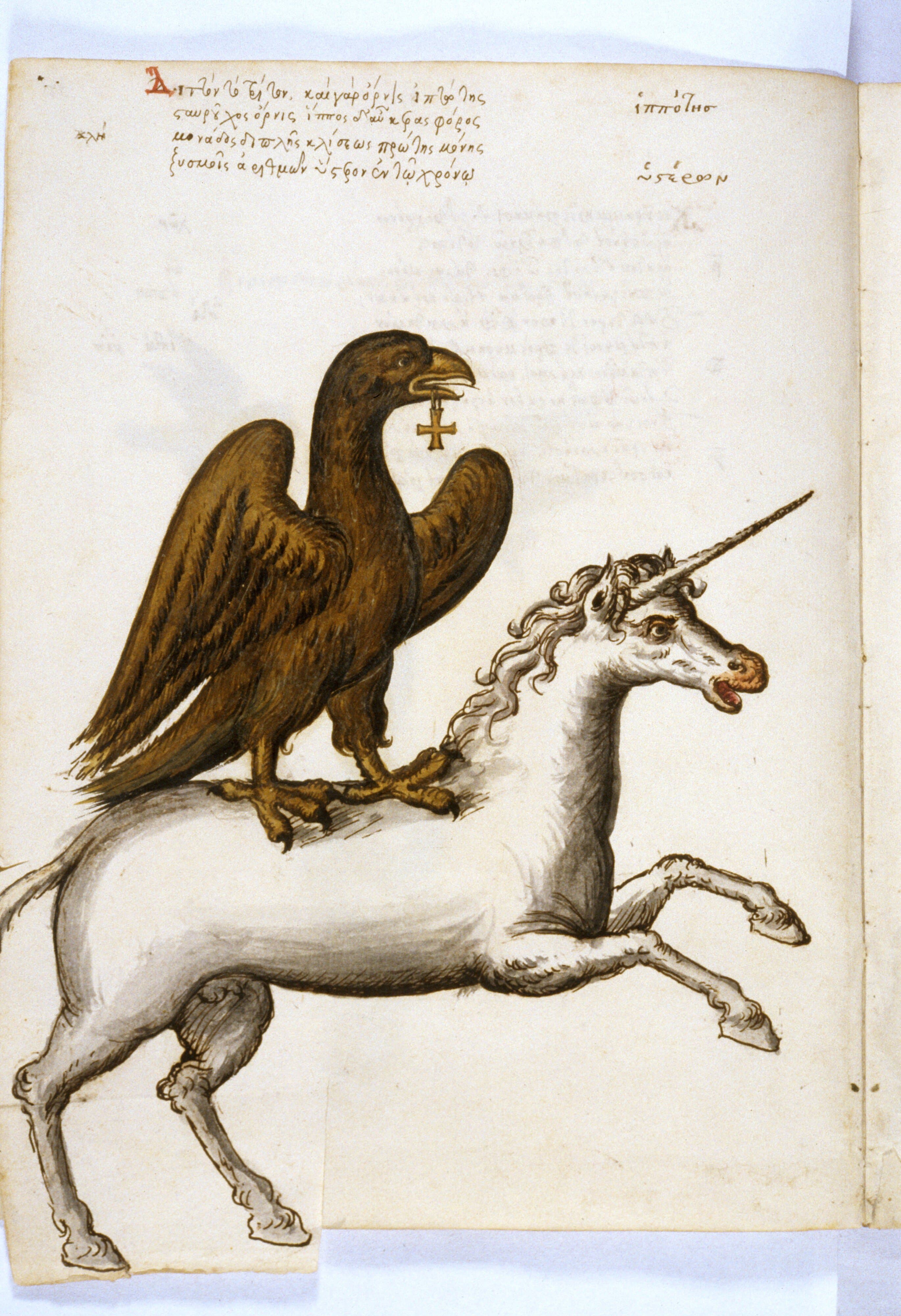 Bodleian Library MS. Barocci 145