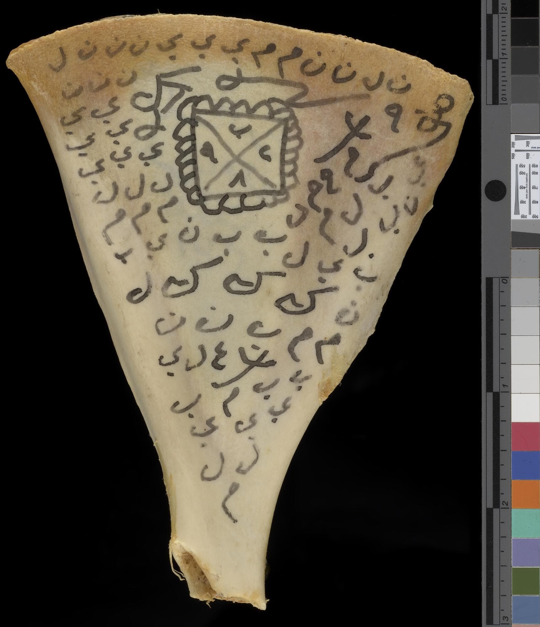 Magical text on a scapula bone