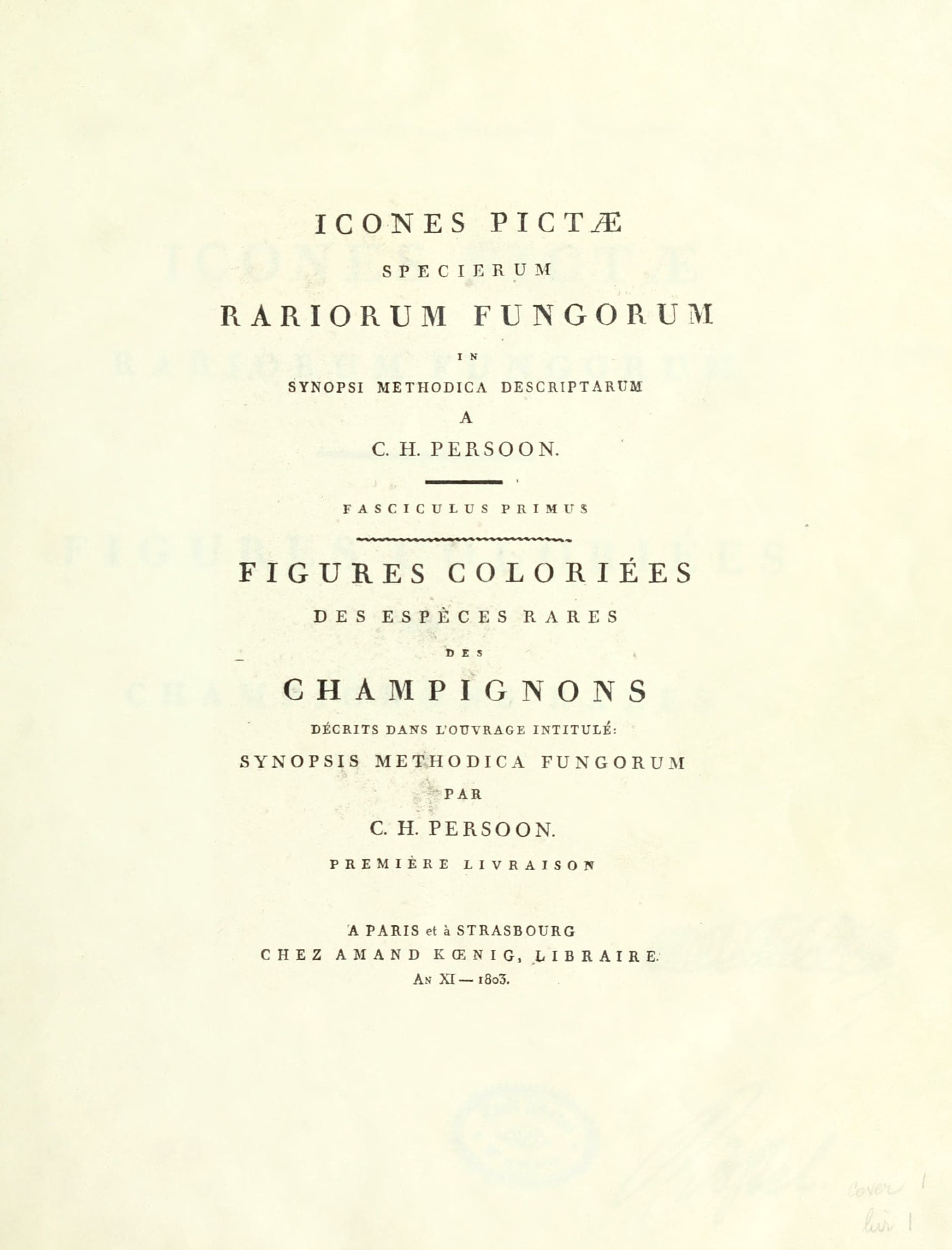 Illustrated Icons of Rare Fungi Species