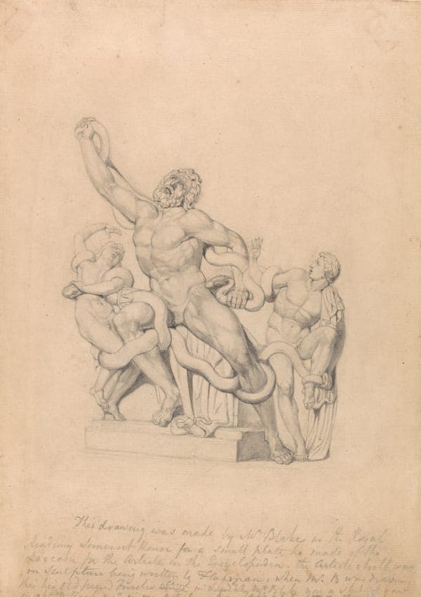 Copy of the Laocoön, for Rees's Cyclopædia