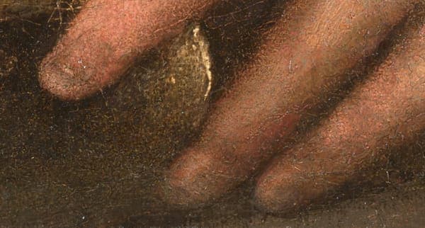 Détail des doigts de la main gauche