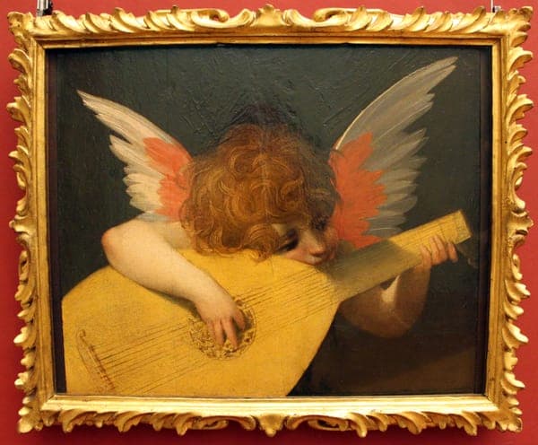 Rosso fiorentino, angelo musicante, 1521