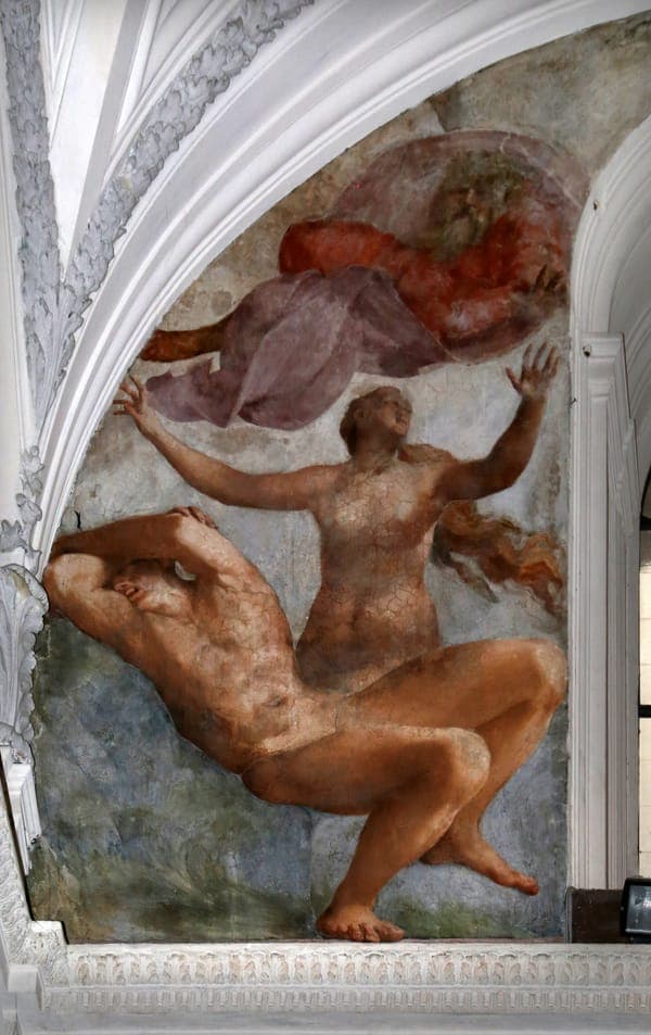 Rosso Fiorentino, creazione di eva, 1524
