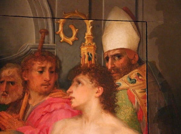 Rosso fiorentino, pala dei, da s. spirito, 1522, 11