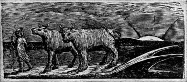 The Sanity of William Blake, page 27a