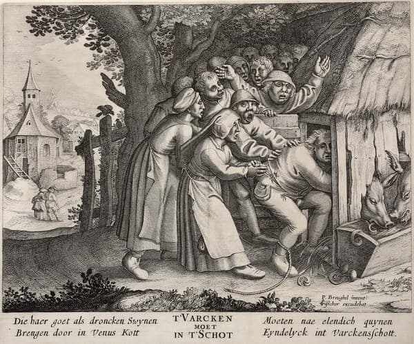 T'Varcken moet in t'Schot