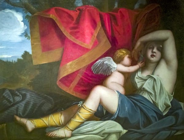 Ca' Rezzonico - Venere con un amorino (Inv.294) - Alessandro Varotari