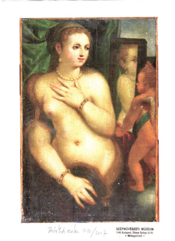Venus with a Mirror