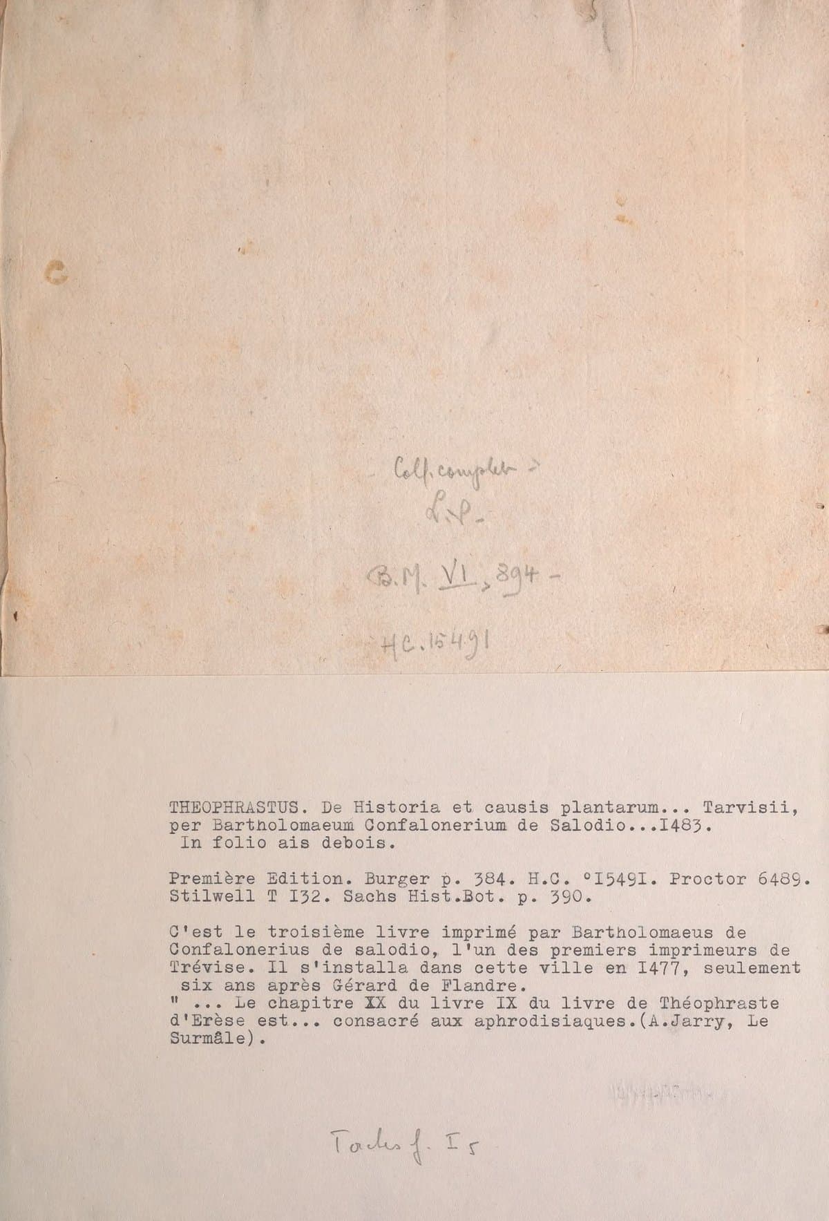 Theophrasti De Historia Plantarum (1483 Incunabulum)