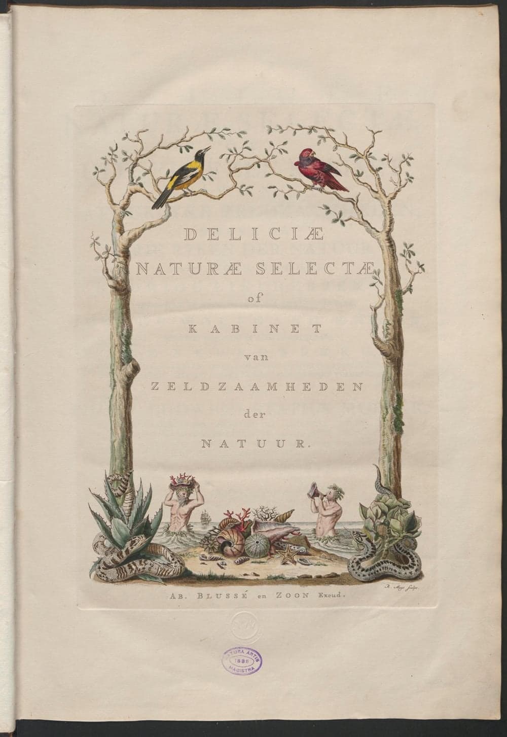 Georg Wolfgang Knorr — Deliciae naturae selectae (1771)