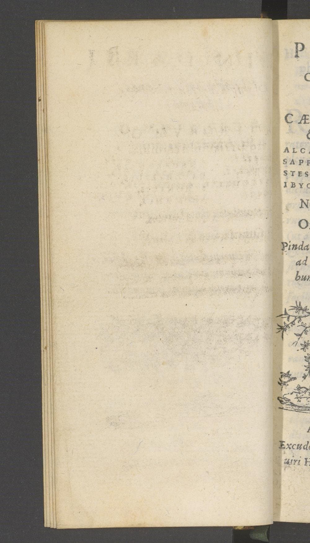 Pindari Olympia, Pythia, Nemea, Isthmia. Caeterorum octo lyricorum carmina, Alcaeai, Anacreontis, Sapphus, Bacchylidis, Stesichori, Simonidis, Ibyci, Alcmanis, nonnulla etiam aliorum. Omnia graece et