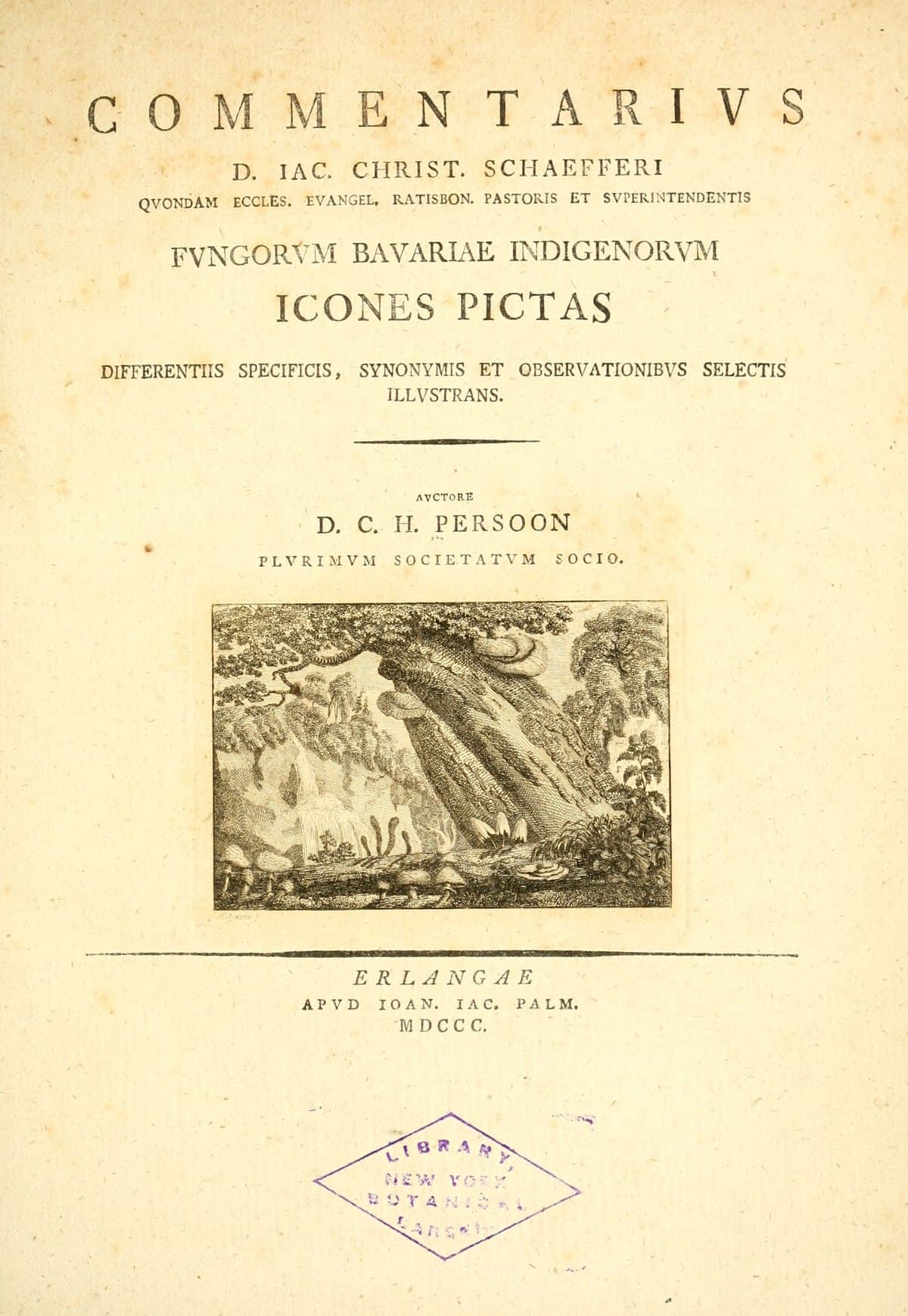 Illustrations of Fungi which Grow in Bavaria and the Palatinate around Ratisbon