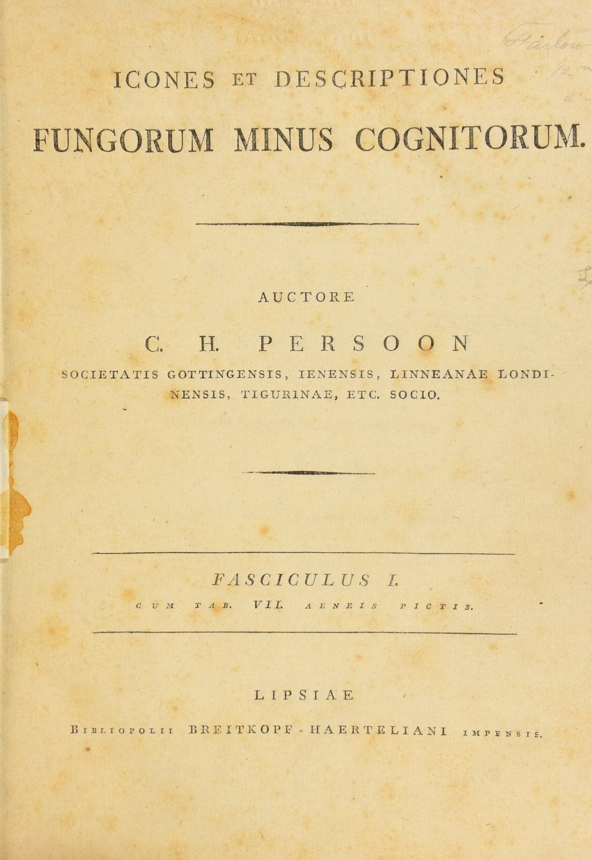 Illustrations and Descriptions of Lesser Known Fungi