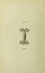 Occult Chemistry: Clairvoyant Observations on the Chemical Elements