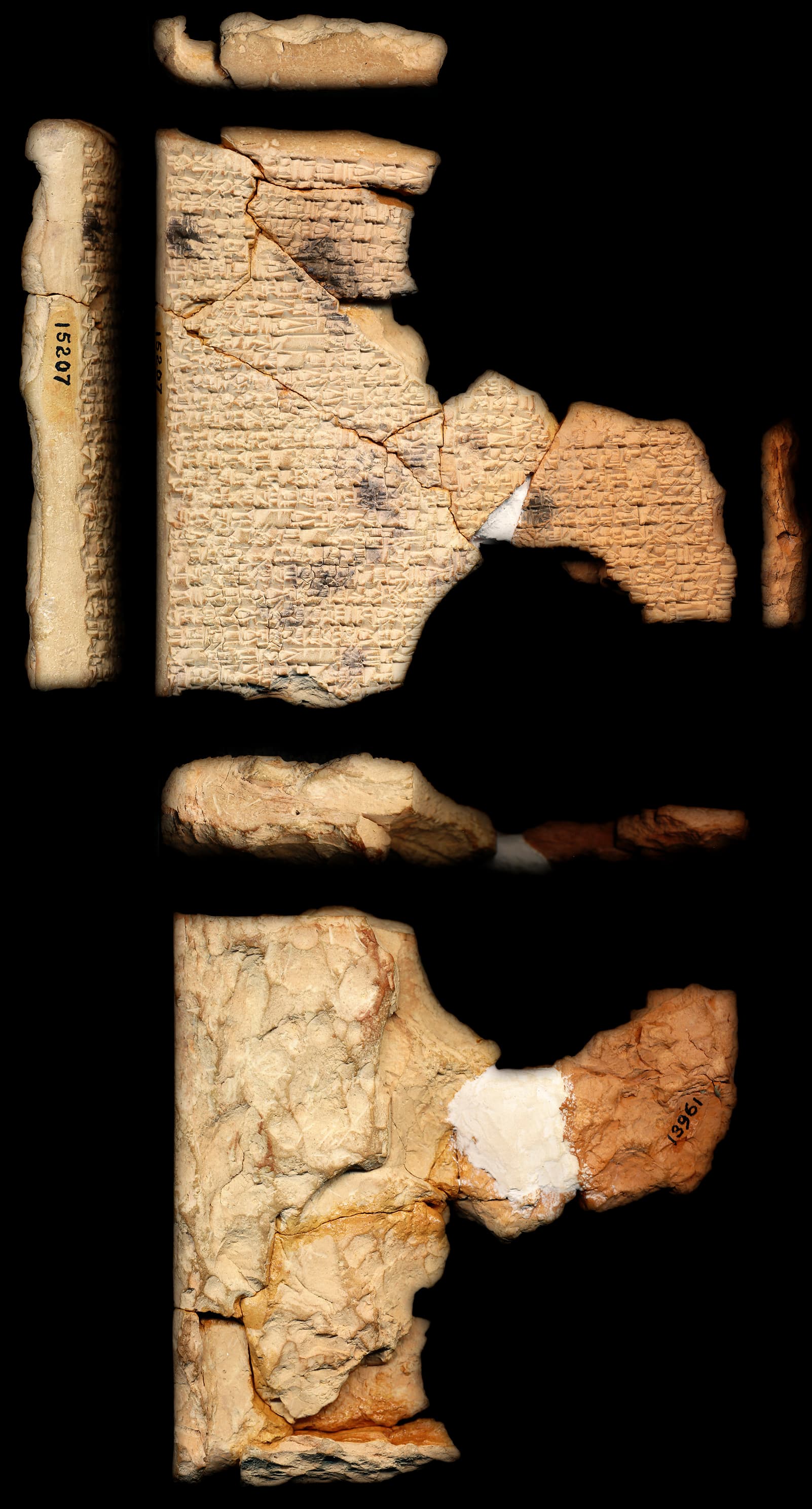 Pabilsaĝ's journey to Nibru