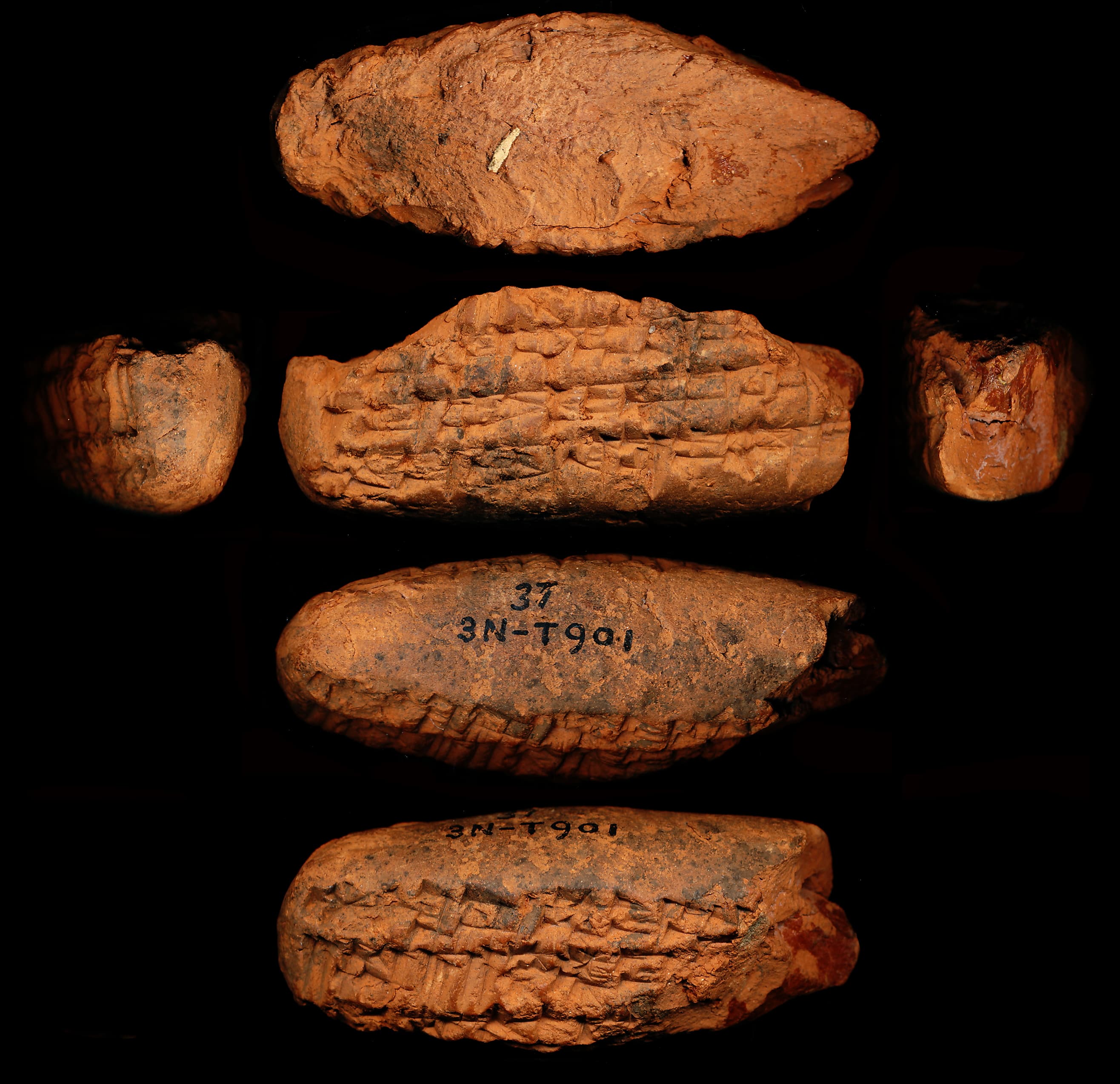 The history of the Tummal