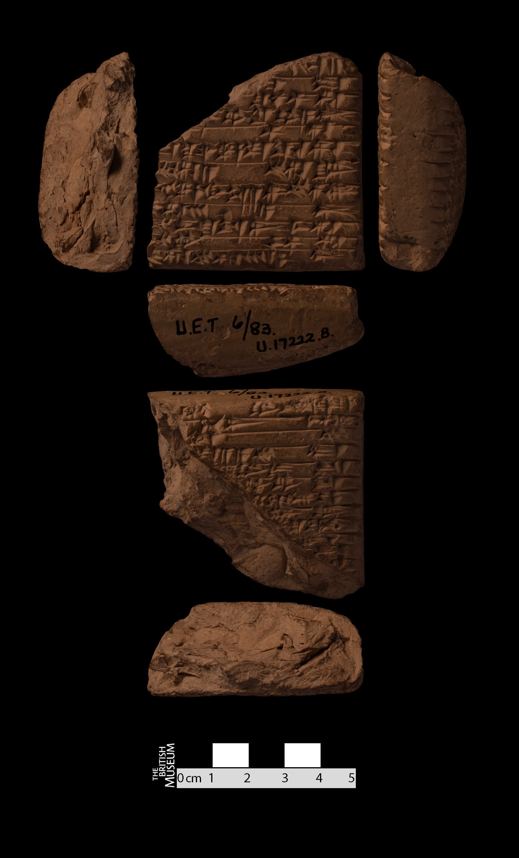 A praise poem of Šulgi (Šulgi W)