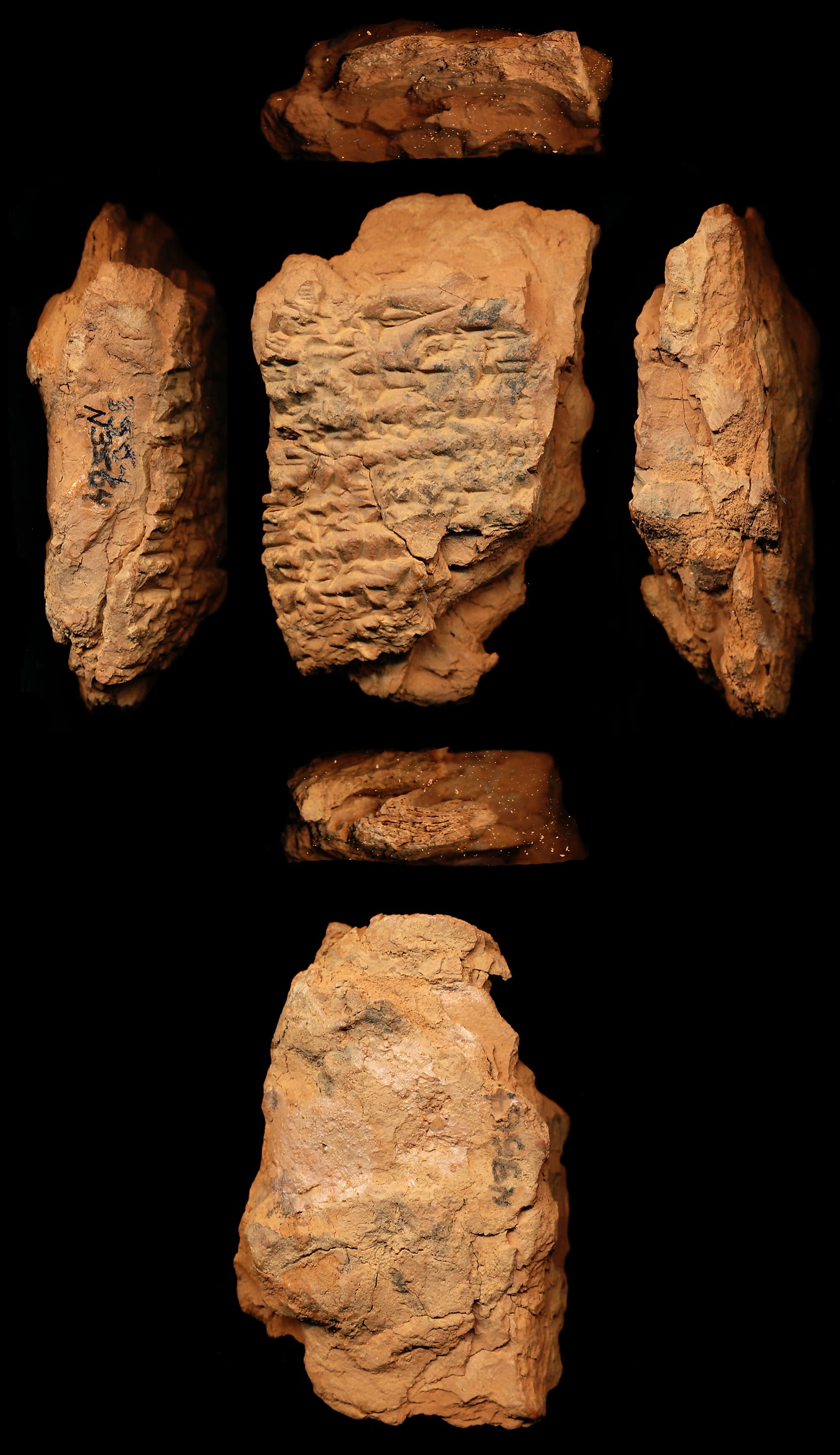 A Tigi to Suen for Ibbi-Suen (Ibbi-Suen A) (ETCSL 2.4.5.1)