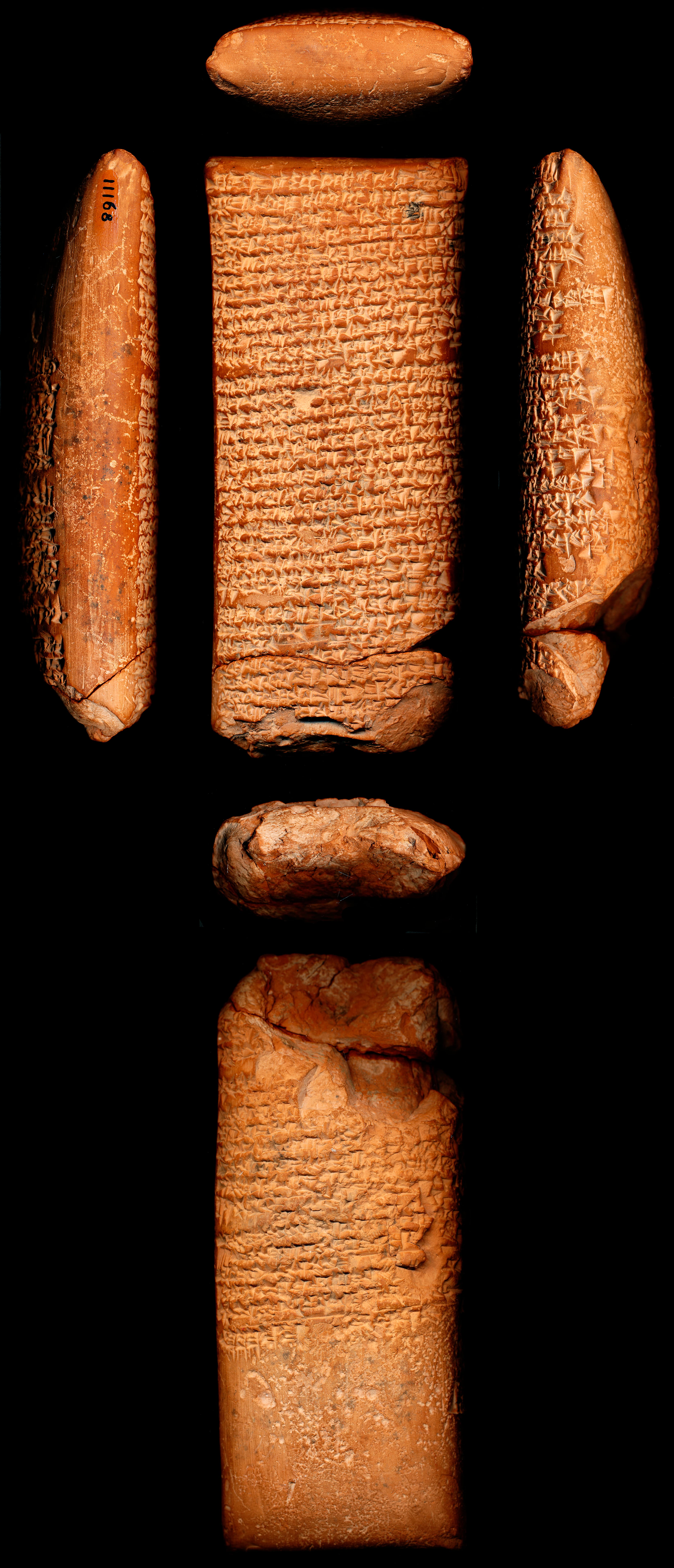 An Ululumama to Suen for Ibbi-Suen (Ibbi-Suen D) (ETCSL 2.4.5.4)