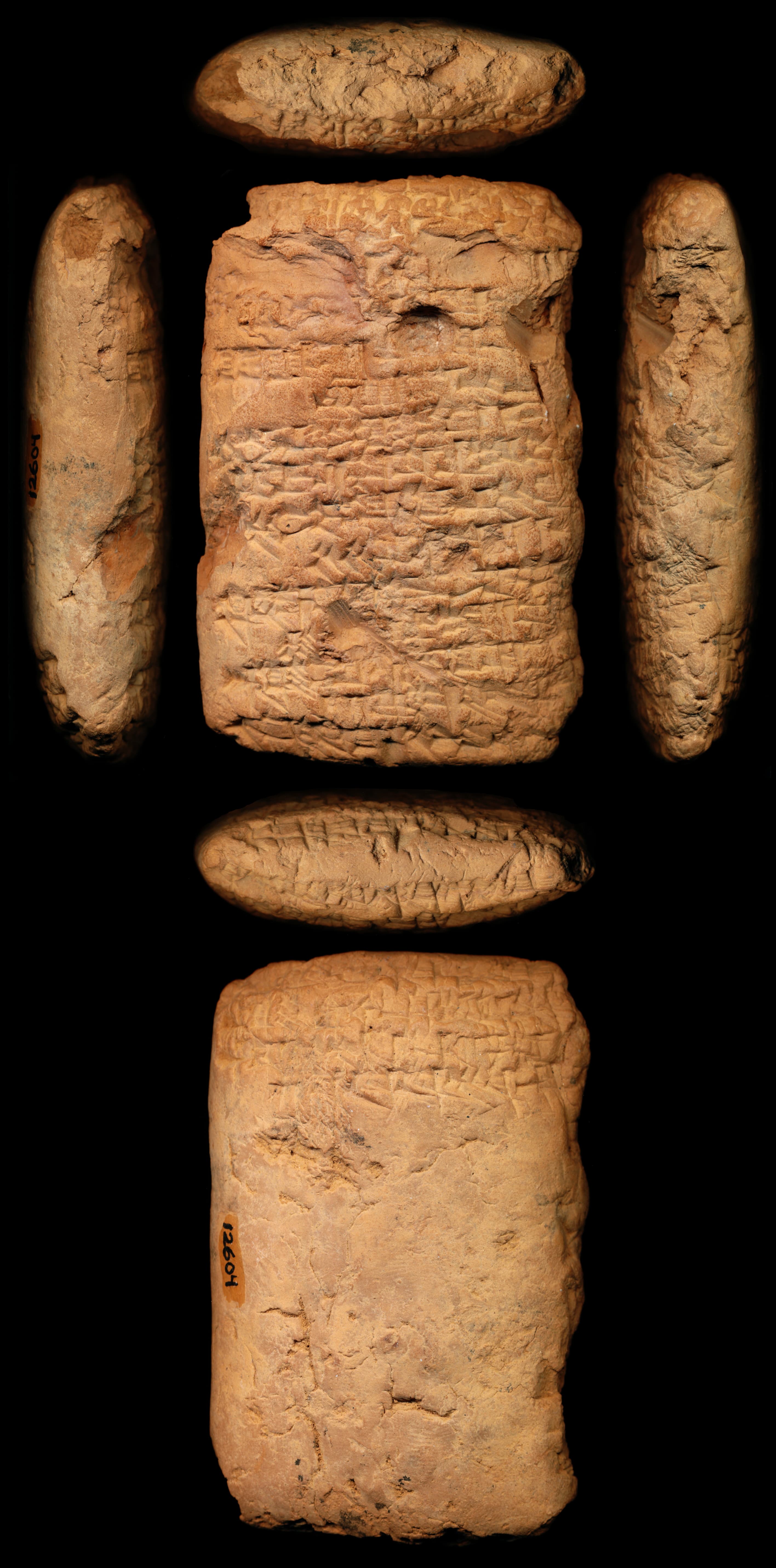 A hymn to Ninisina for Išbi-Erra (Išbi-Erra D)