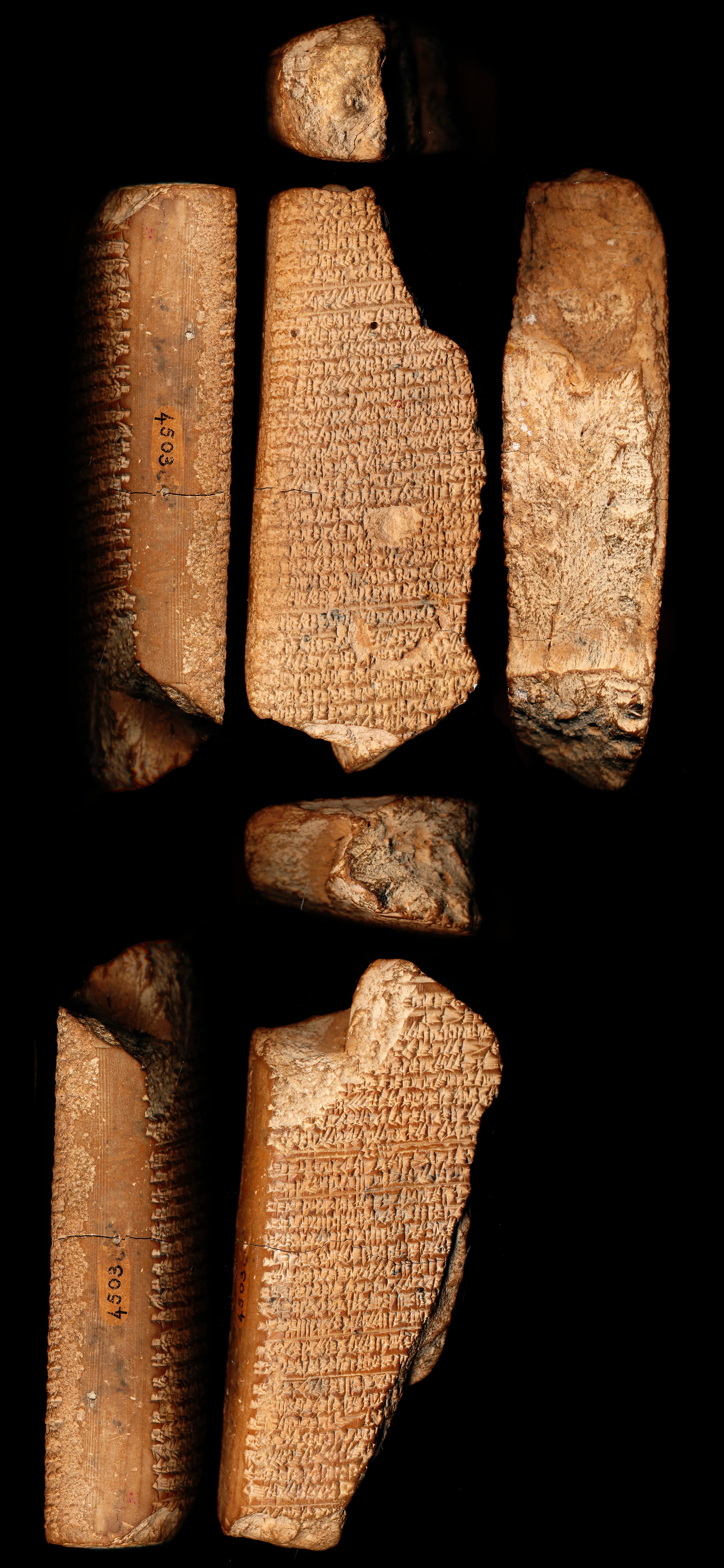 A prayer for Ḫammu-rābi (Ḫammu-rābi E)