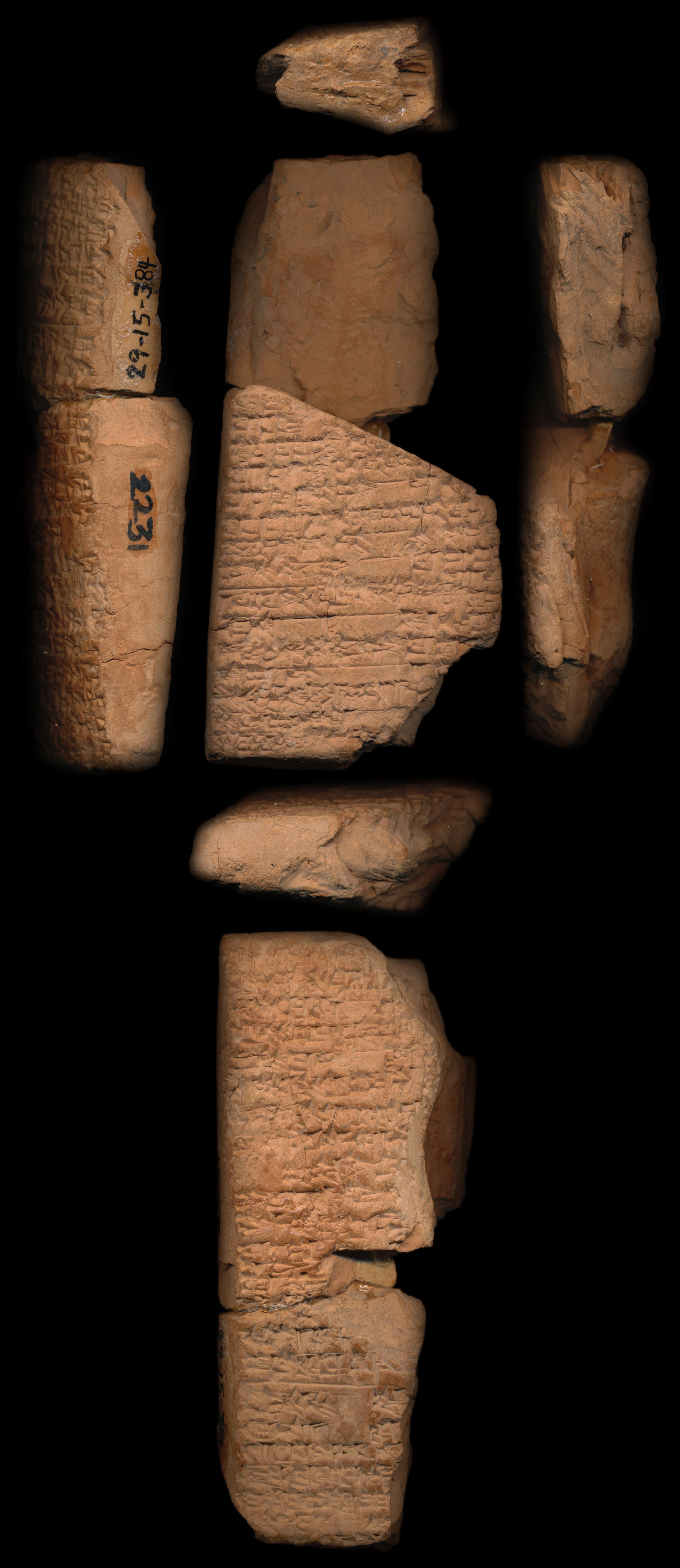 Letter from Sîn-illat to Iddin-Dagan about confronting the Martu