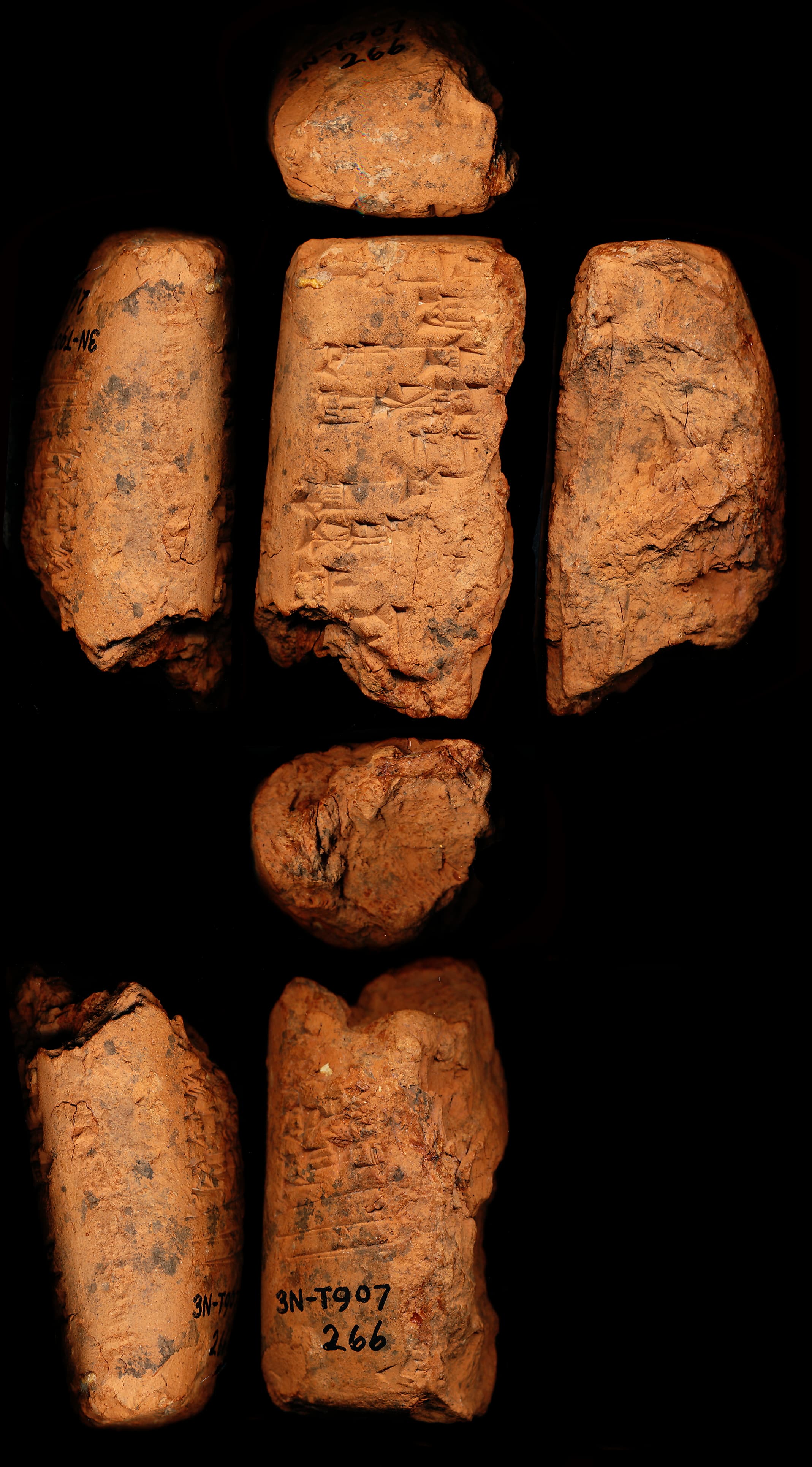 Letter from Lugal-nesaĝe to Enlil-massu