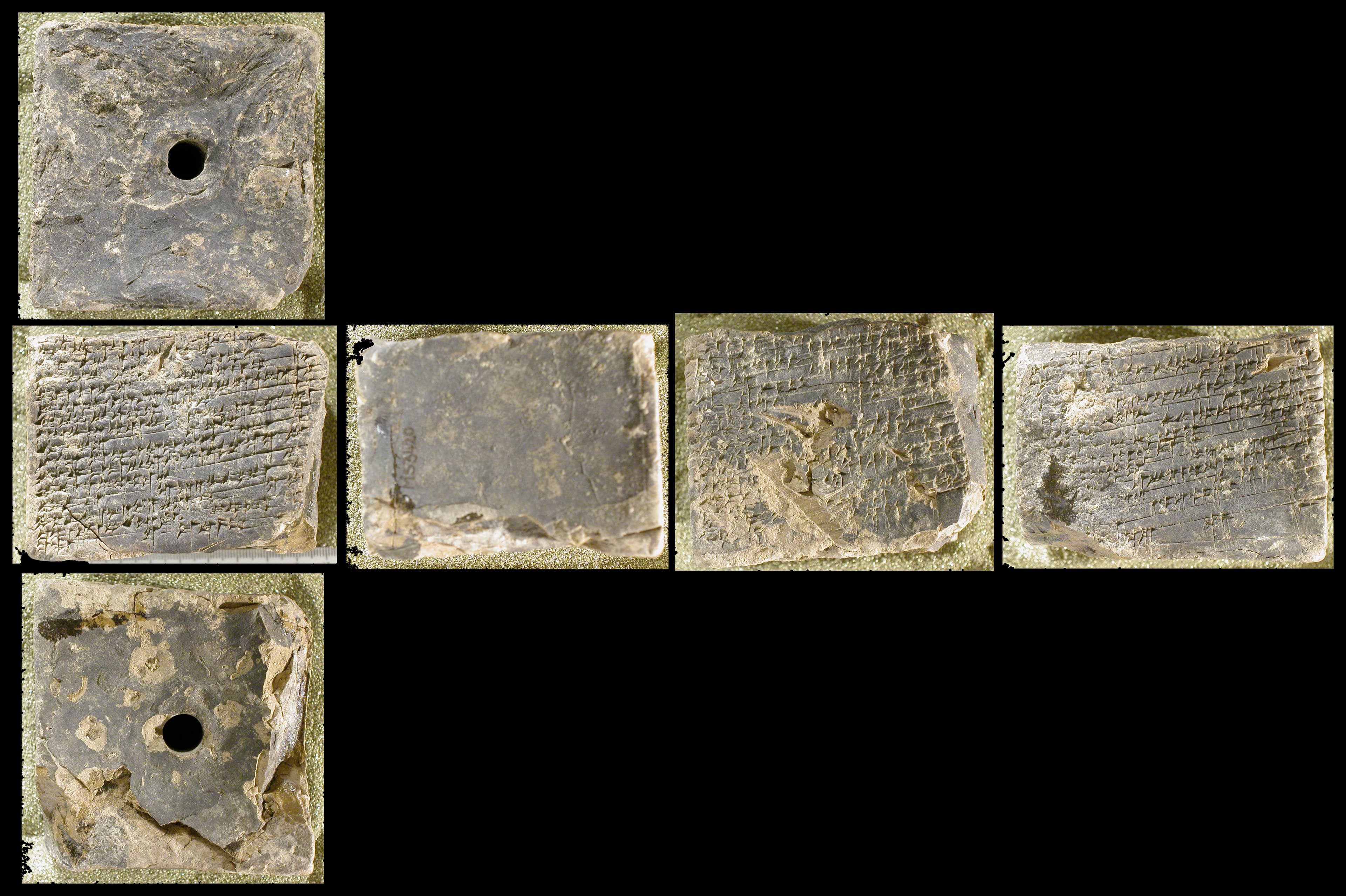 The debate between Hoe and Plough