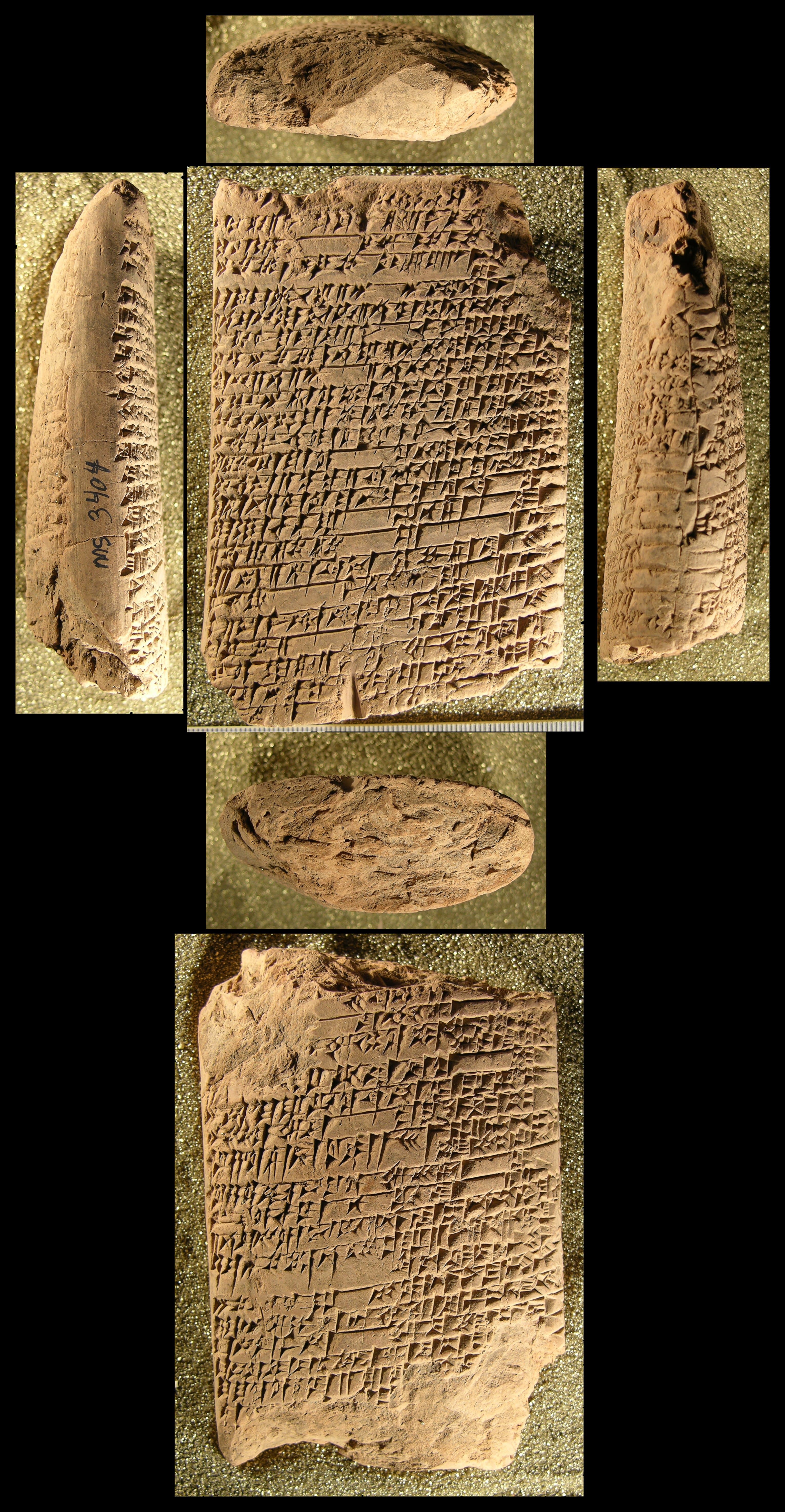 The debate between Grain and Sheep