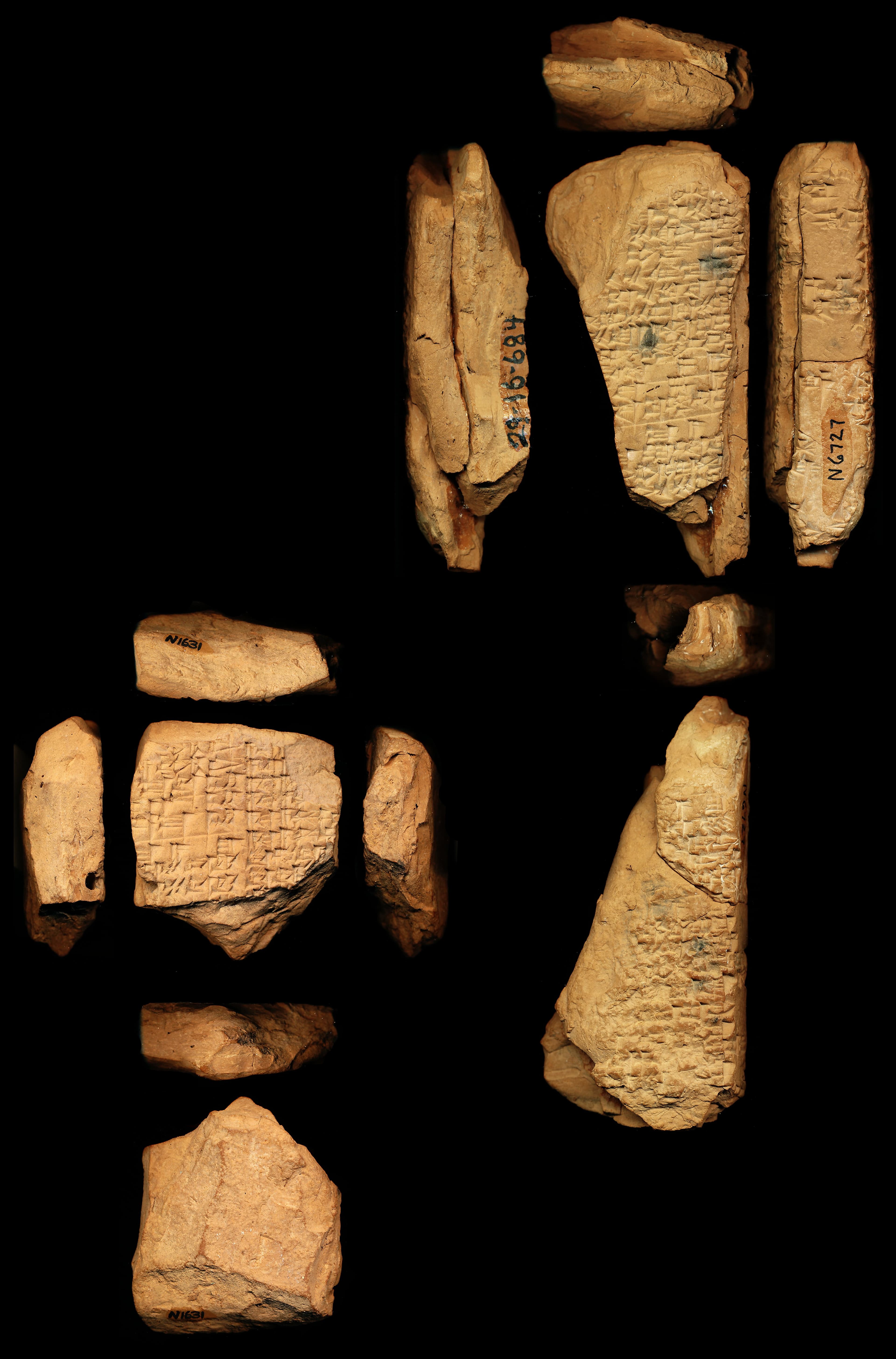 The Song of the Ploughing Oxen: An Ululumama to Ninurta (ETCSL 5.5.5)