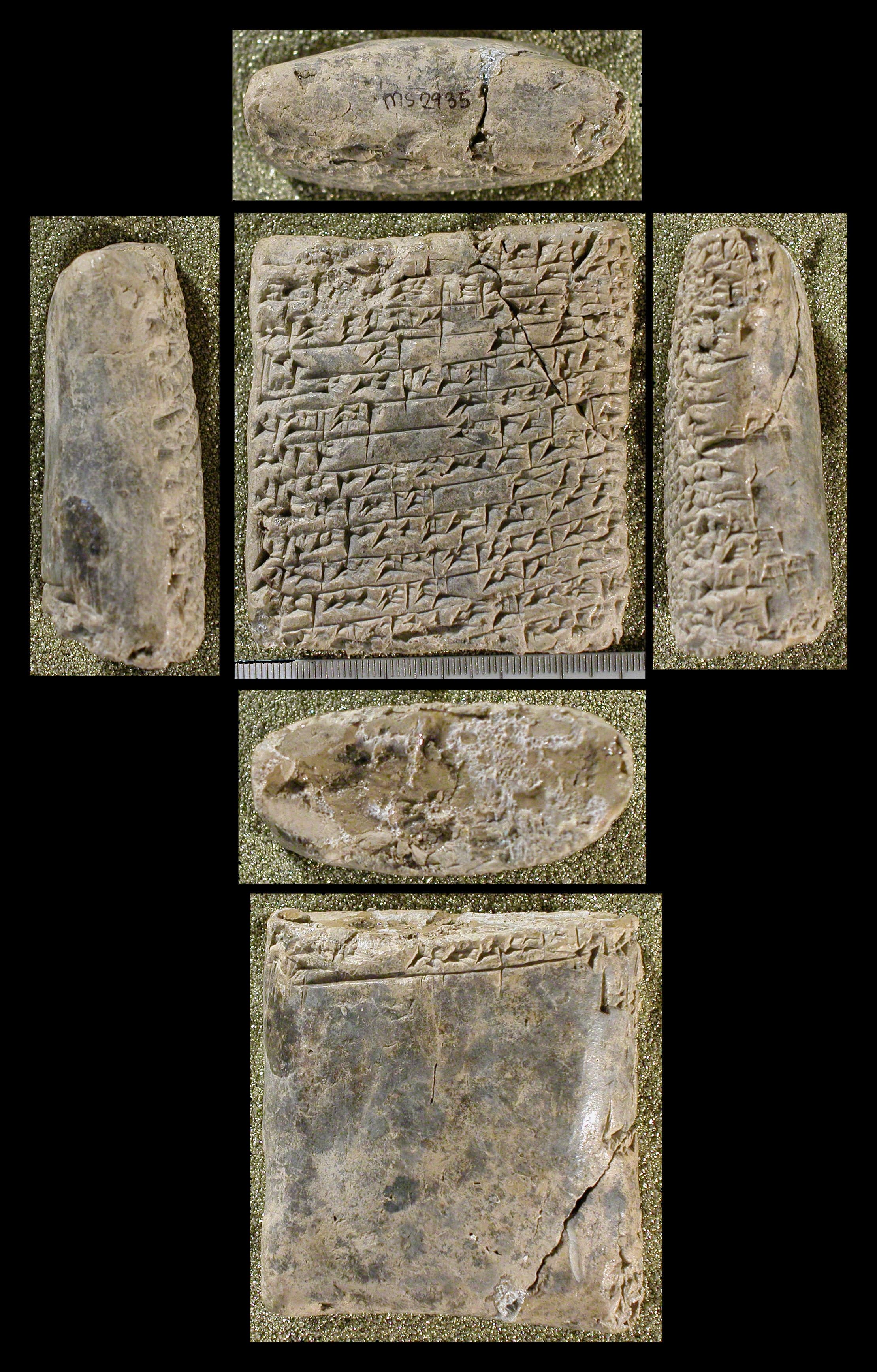 The farmer's instructions