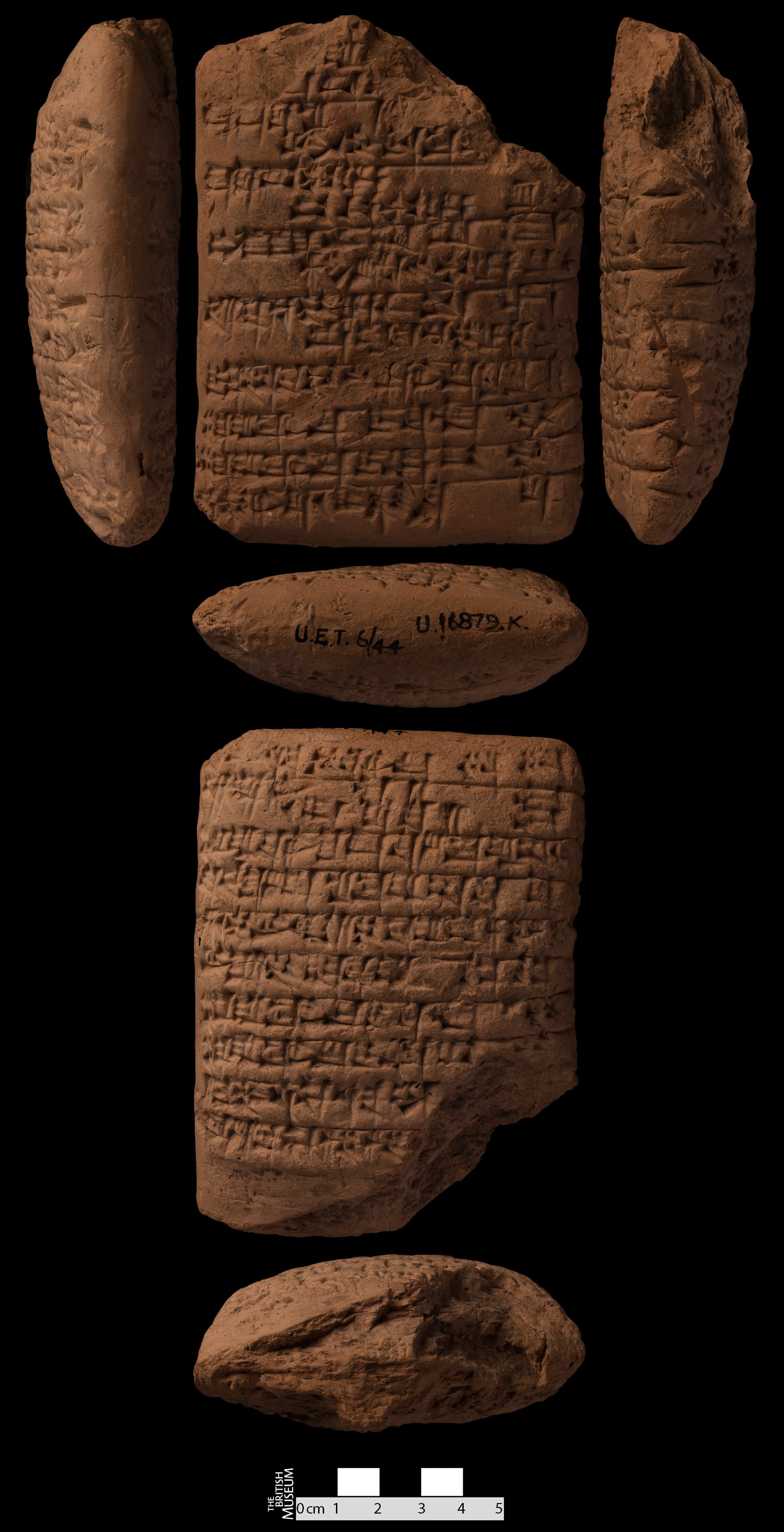 The home of the fish