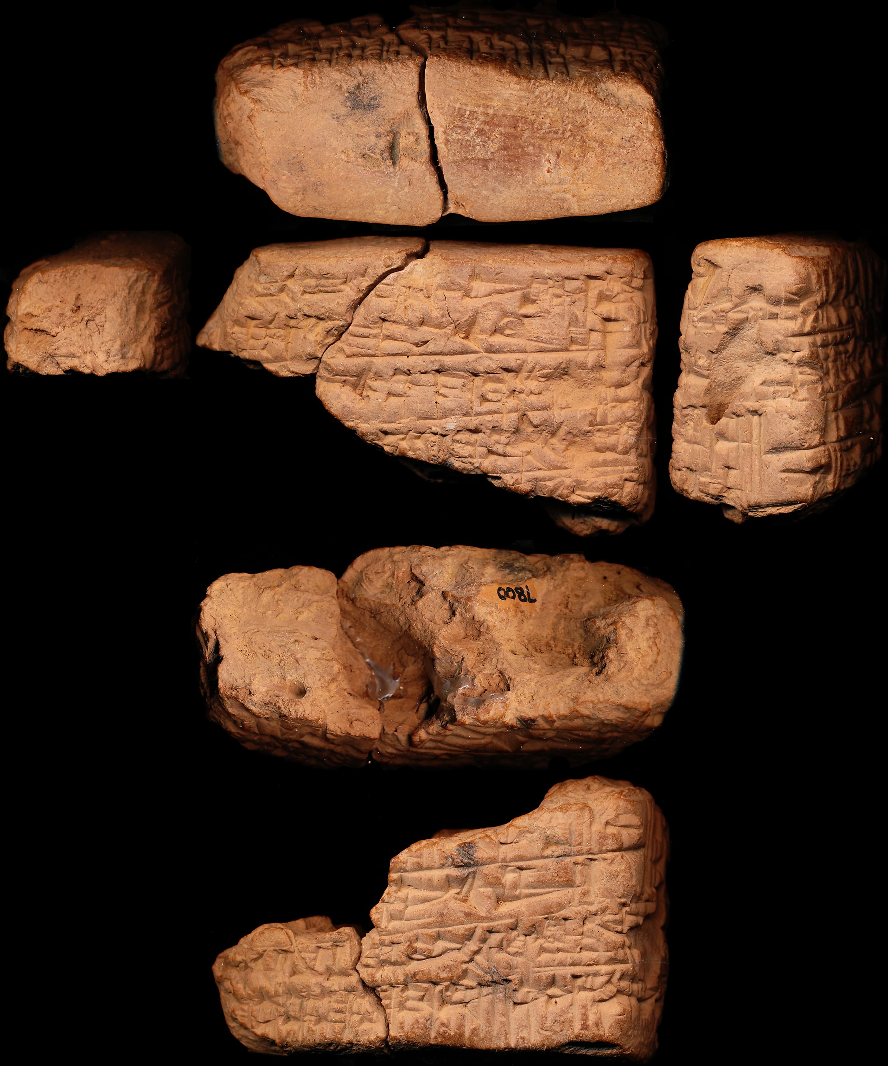 Proverbs: collection 12