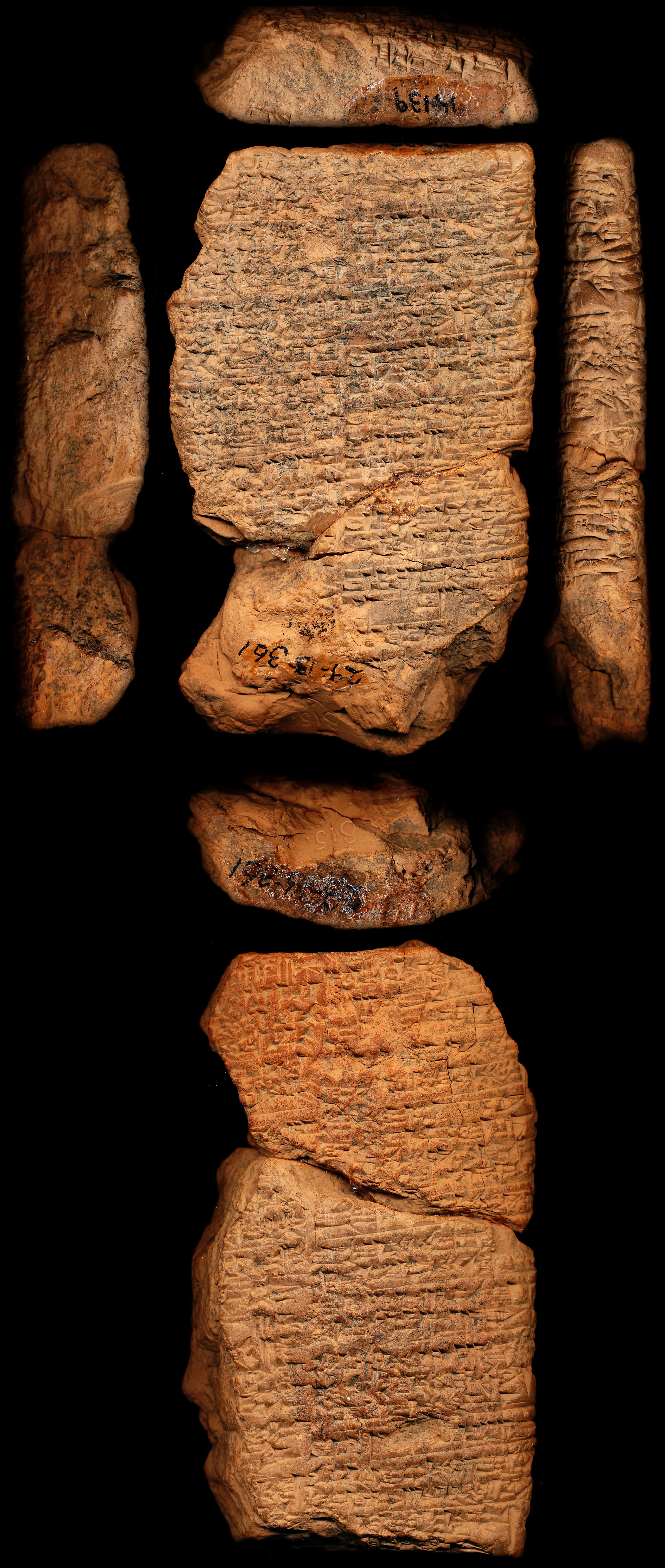 Proverbs: collection 14