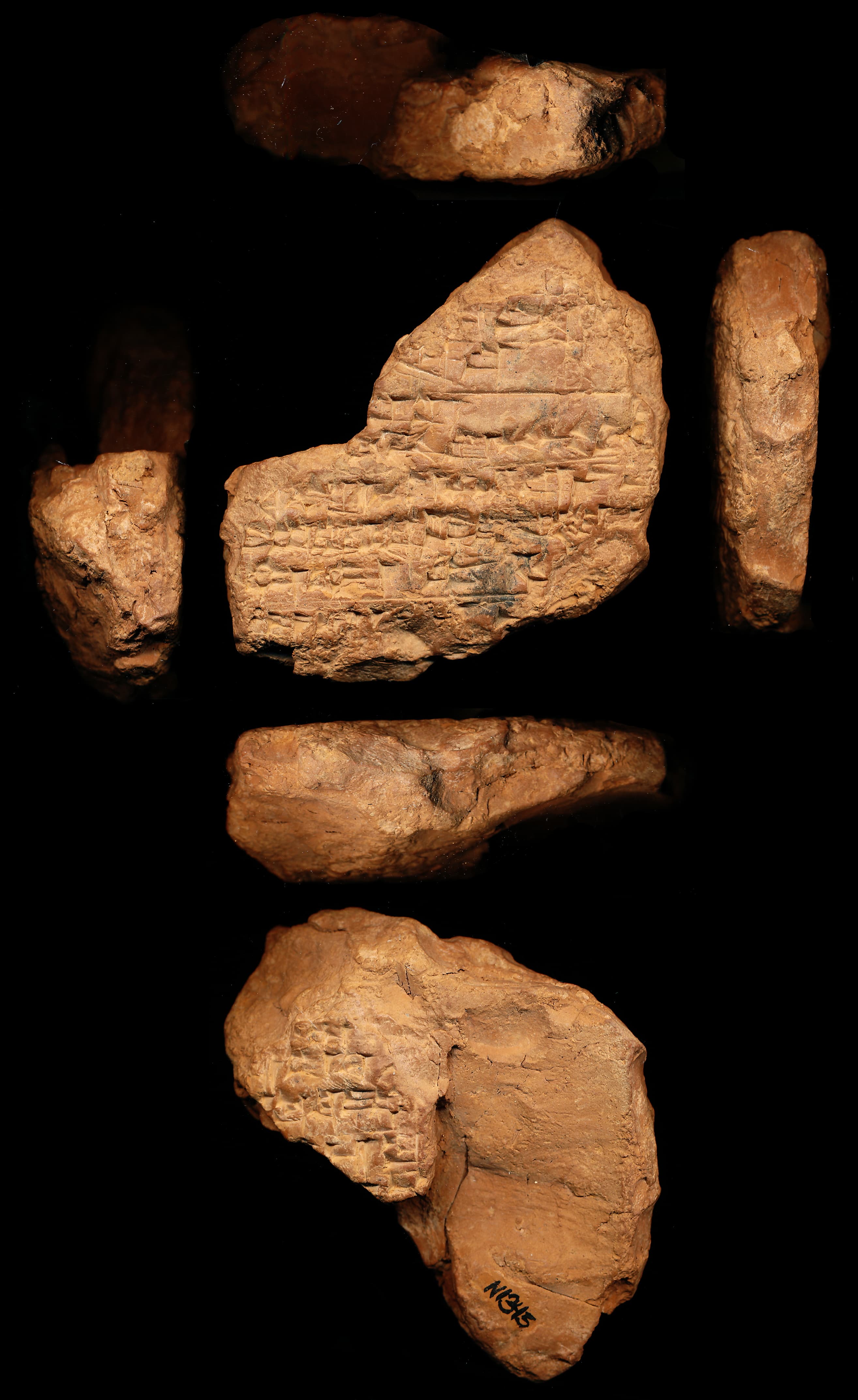 Proverbs: collection 15