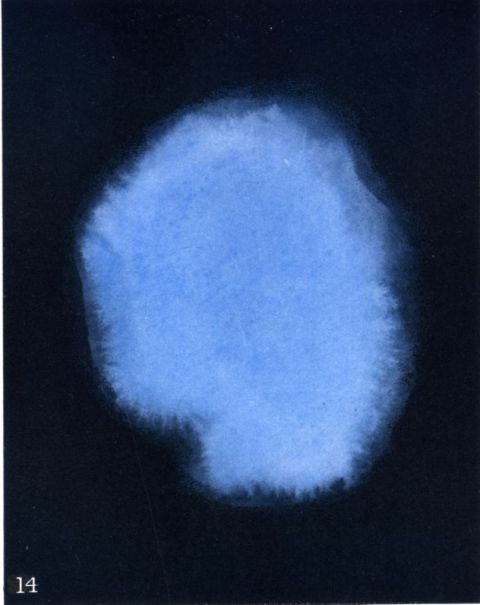 Vague Religious Feelings