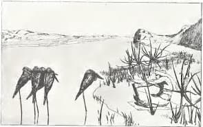 Klinger - Singer, 033