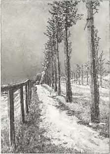 Klinger - Singer, 124