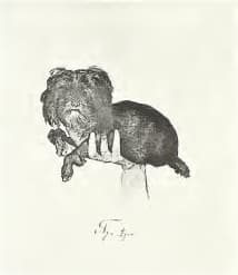 Klinger - Singer, 266