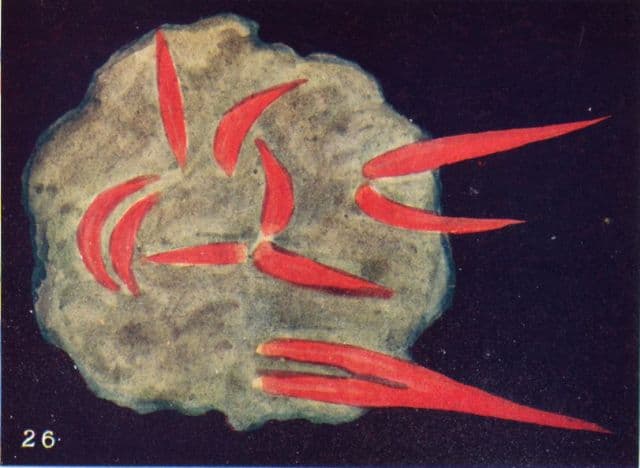 Thought Form 26: A Sudden Fright