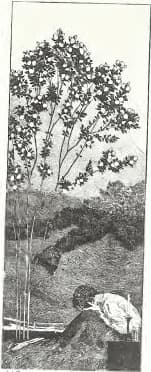 Klinger - Singer, 115